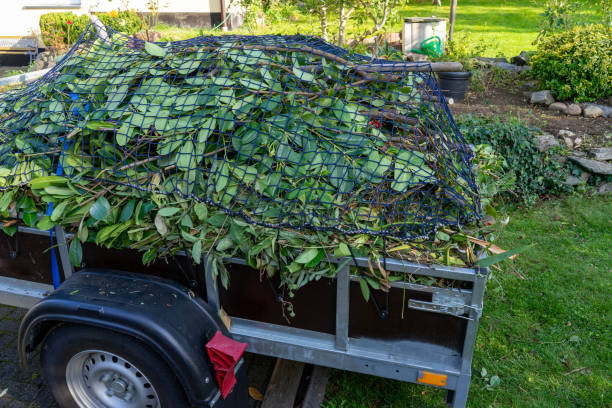 Best Shed Removal  in Laconia, NH